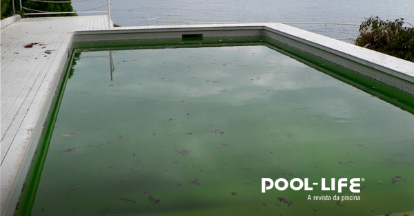 piscina com algas